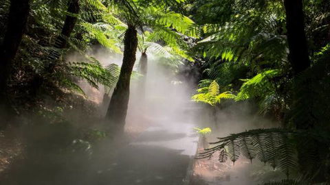 Australian National Botanic Gardens - Great Ocean Road Tourism 4