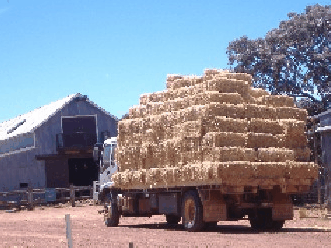 Avondale Discovery Farm - Great Ocean Road Tourism 1