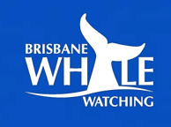 Brisbane Whale Watching - Great Ocean Road Tourism 3