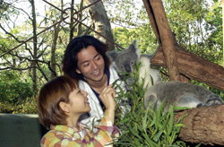 Taronga Zoo - Great Ocean Road Tourism 2