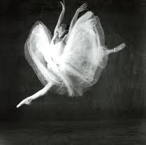 Glen Street Theatre - Great Ocean Road Tourism 3