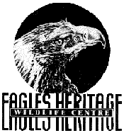 Eagles Heritage - Great Ocean Road Tourism 0