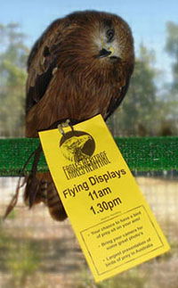 Eagles Heritage - Great Ocean Road Tourism 1