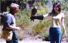 Eagles Heritage - Great Ocean Road Tourism 2