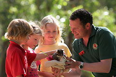 Cleland Wildlife Park - Great Ocean Road Tourism 0