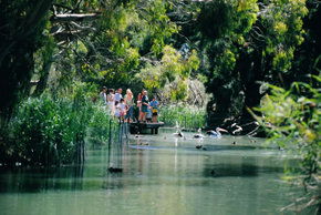 Cleland Wildlife Park - Great Ocean Road Tourism 1