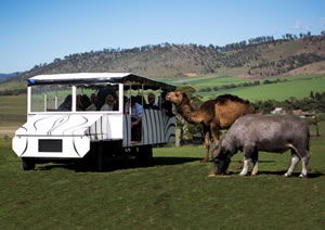 Zoo Doo Wildlife Park - Great Ocean Road Tourism 2