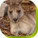  Great Ocean Road Tourism