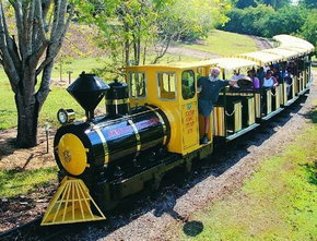 The Big Pineapple - Great Ocean Road Tourism 1