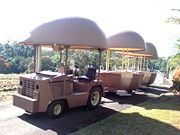 The Big Pineapple - Great Ocean Road Tourism 2