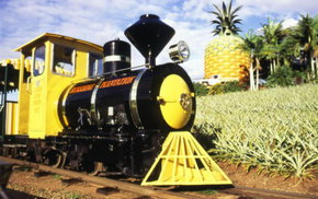 The Big Pineapple - Great Ocean Road Tourism 3