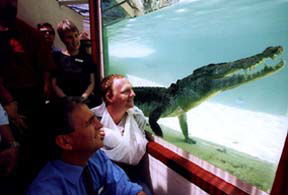 Alice Springs Reptile Centre - Great Ocean Road Tourism 1