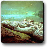 Kakadu National Park - Great Ocean Road Tourism 1