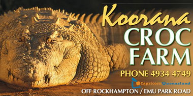 Book Banana QLD Attractions Great Ocean Road Tourism Great Ocean Road Tourism
