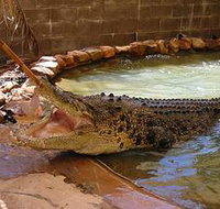 Wyndham Zoological Gardens and Crocodile Park - Great Ocean Road Tourism