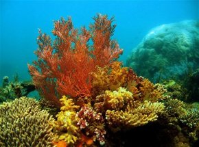  Great Ocean Road Tourism