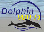 Dolphin Wild - Great Ocean Road Tourism 0