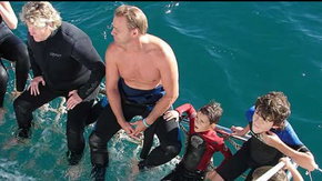 Dolphcom - Dolphin & Whale Swimming Adventures - Great Ocean Road Tourism 2