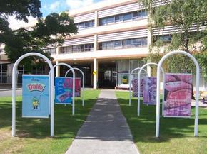 Cadbury Chocolate Factory Tour - Great Ocean Road Tourism 2