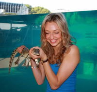 Crocosaurus Cove - Great Ocean Road Tourism