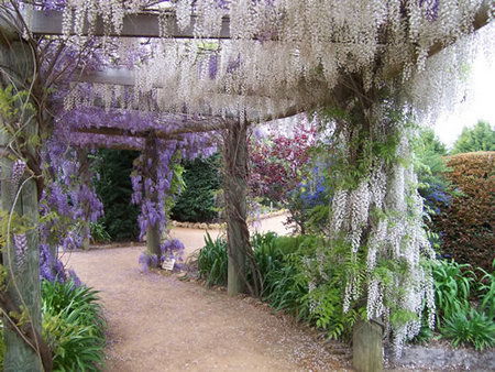 Abingdon Miniature Village - Great Ocean Road Tourism 0