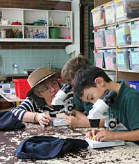 Australian National Botanic Gardens - Great Ocean Road Tourism 2