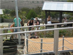  Great Ocean Road Tourism