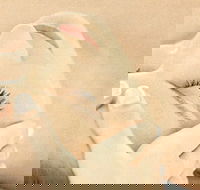 The Golden Door Spa  Health Club at Mirage Resort - Great Ocean Road Tourism