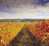 Link Tours - Great Ocean Road Tourism