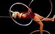 National Institute Of Circus Arts (NICA) - thumb 4