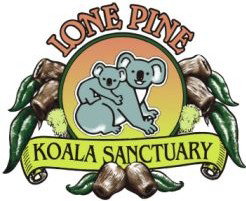 Lone Pine Koala Sanctuary - Great Ocean Road Tourism 0