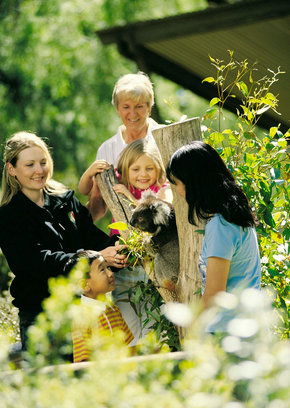 Cleland Wildlife Park - Great Ocean Road Tourism 5