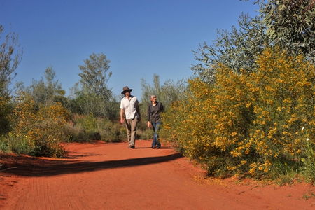 Alice Springs Desert Park - Great Ocean Road Tourism 3