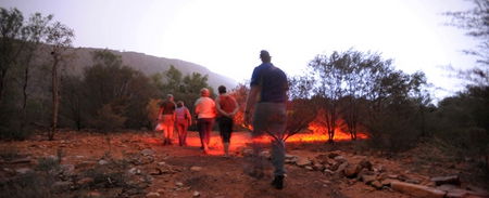 Alice Springs Desert Park - Great Ocean Road Tourism 4