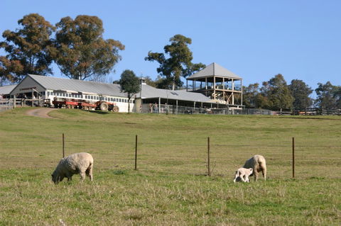 Calmsley Hill City Farm - Great Ocean Road Tourism 3