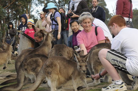 East Coast Natureworld - Great Ocean Road Tourism 4