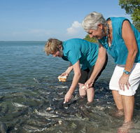 Aquascene Fish Feeding Sanctuary - Great Ocean Road Tourism