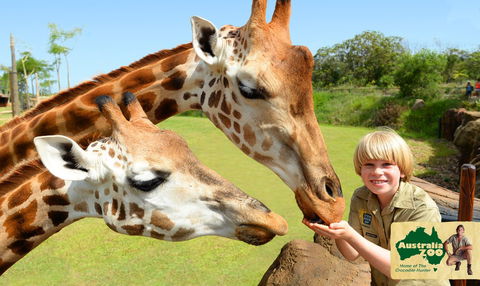 Australia Zoo - Great Ocean Road Tourism 4
