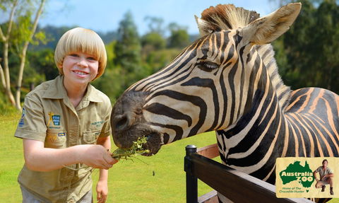 Australia Zoo - Great Ocean Road Tourism 5