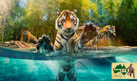 Australia Zoo - Great Ocean Road Tourism 9