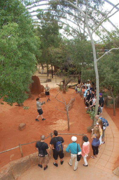 WILD LIFE Sydney Zoo - Great Ocean Road Tourism 2