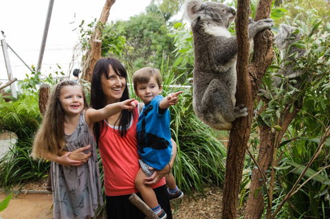 WILD LIFE Sydney Zoo - Great Ocean Road Tourism 3