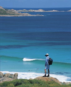 Smiths Beach - Great Ocean Road Tourism 0