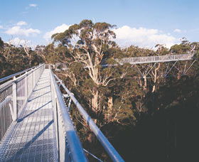 Great Ocean Road Tourism