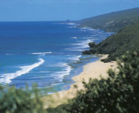 Yallingup Beach - Great Ocean Road Tourism 0