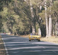 Ludlow Tuart Forest - Great Ocean Road Tourism