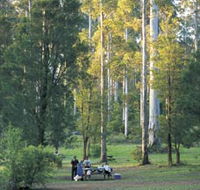 Big Brook Arboretum - Great Ocean Road Tourism