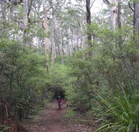 Margaret River Rails Trail - Great Ocean Road Tourism