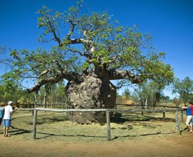 Pigeon Heritage Trail - Great Ocean Road Tourism 0