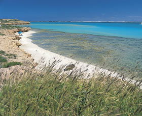 Paradise Beach - Great Ocean Road Tourism 0